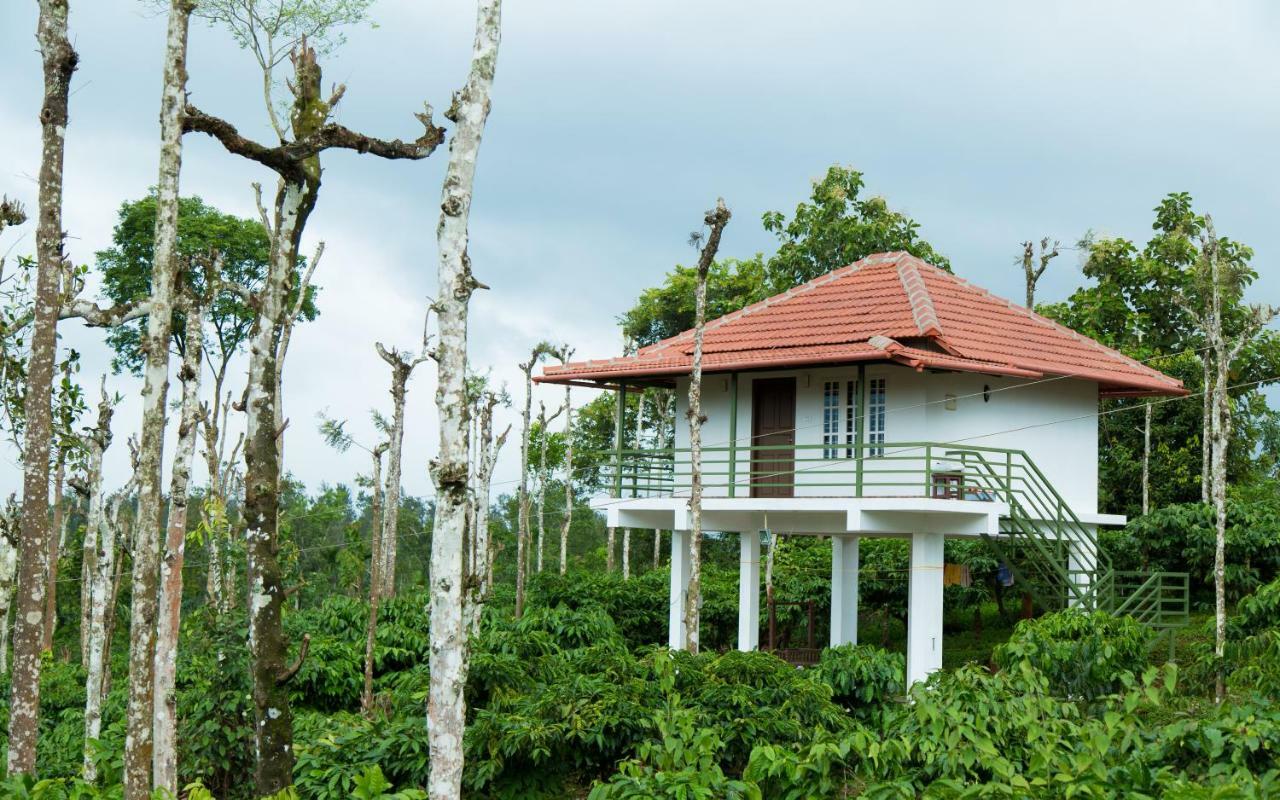 The Suvistara Wayanad Kerala Bed and Breakfast Meenangadi Exteriör bild