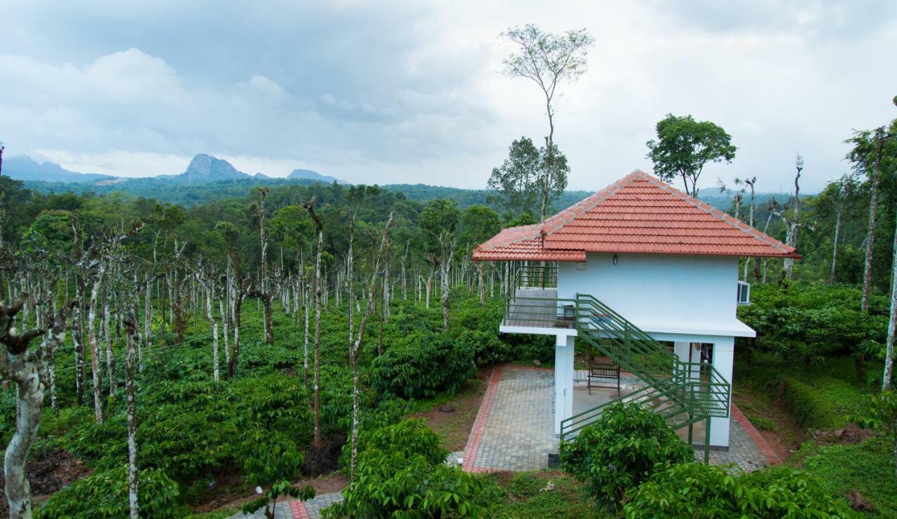 The Suvistara Wayanad Kerala Bed and Breakfast Meenangadi Exteriör bild