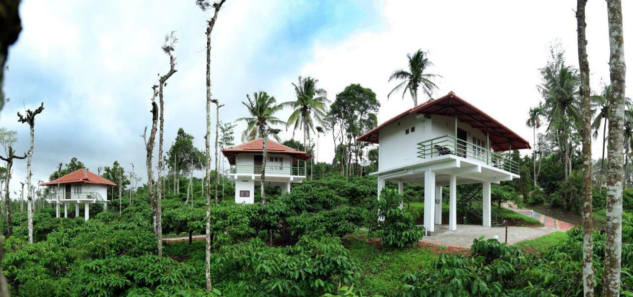 The Suvistara Wayanad Kerala Bed and Breakfast Meenangadi Exteriör bild